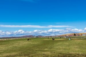 トップページ 一口馬主血統診断